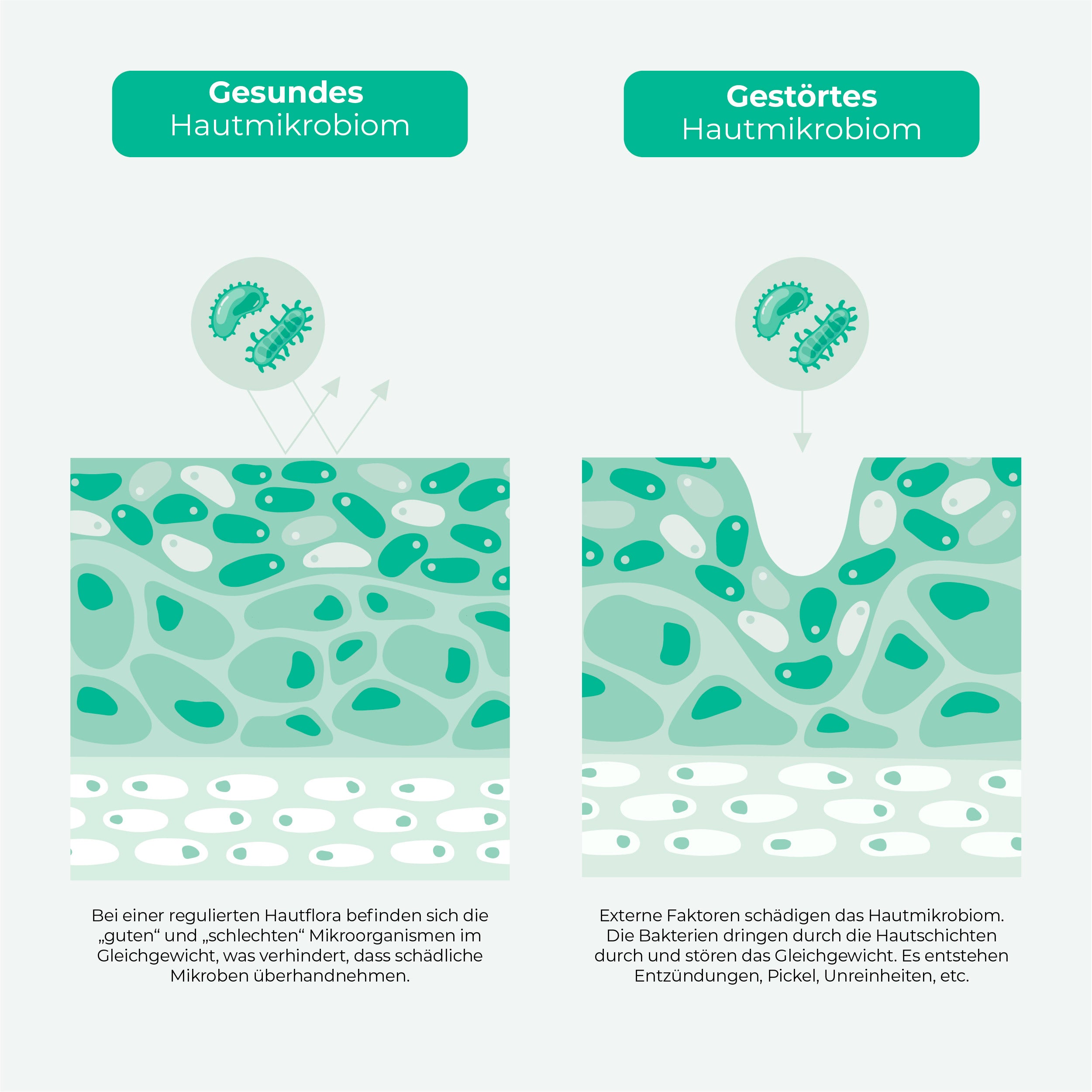 Biomebalance