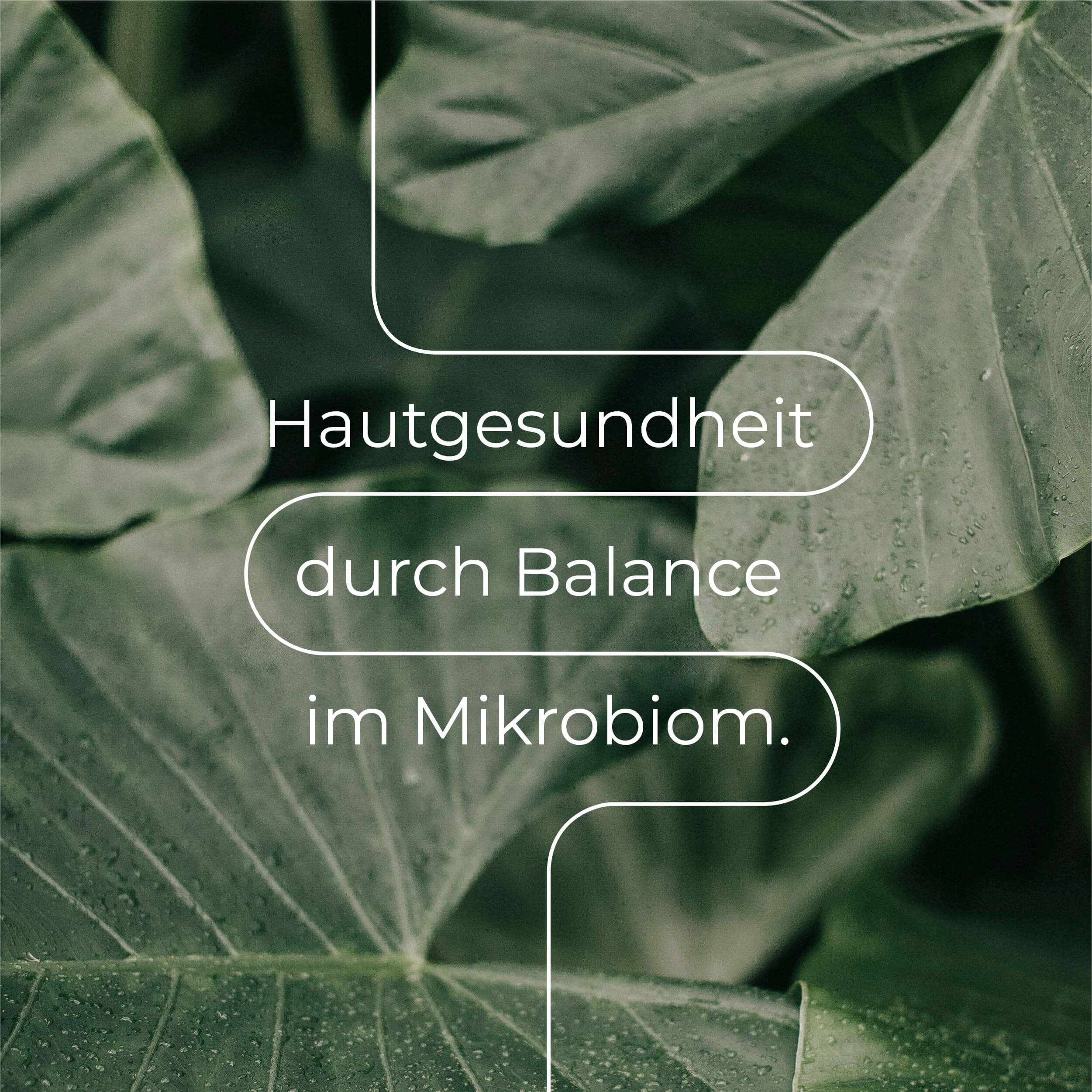 Biomebalance