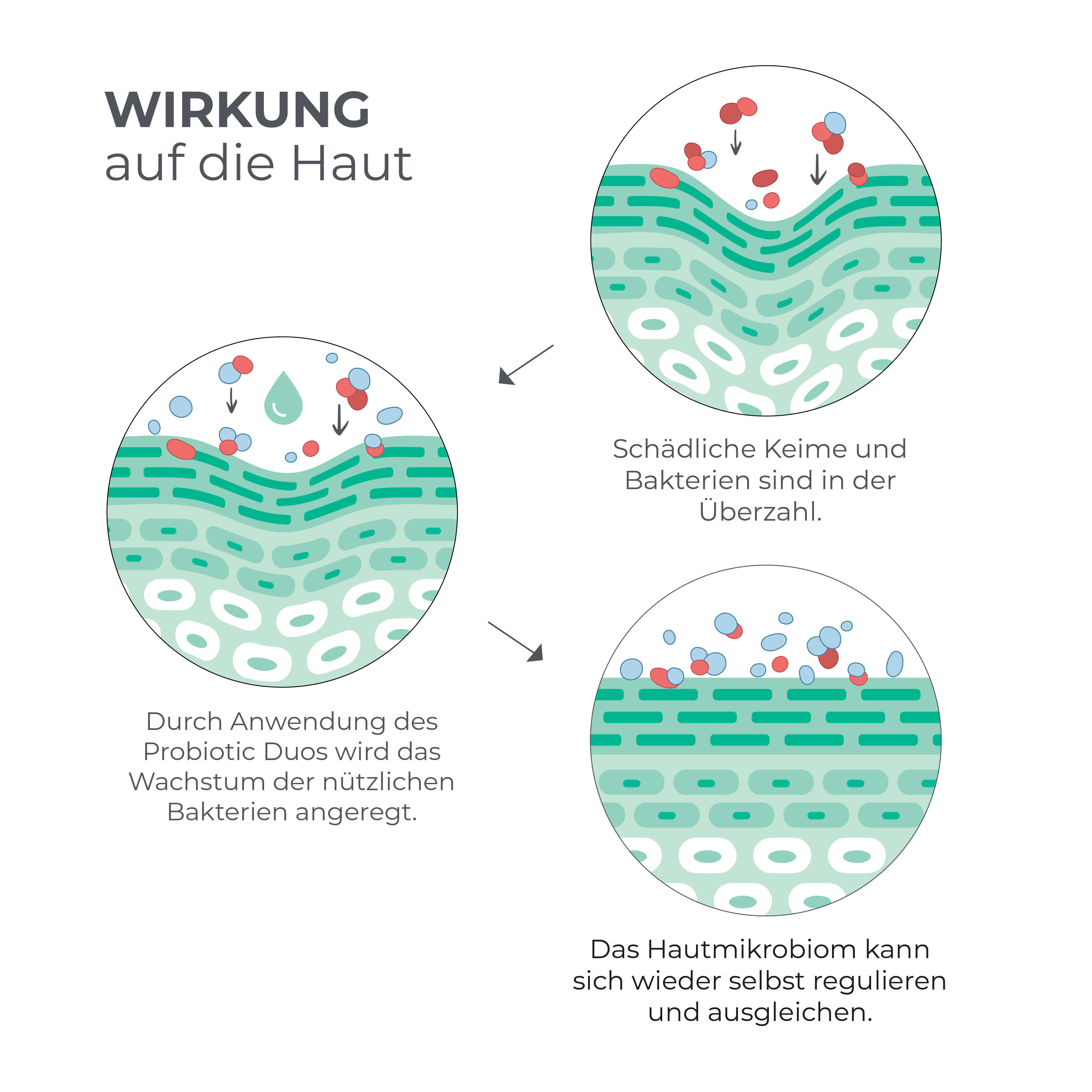 Probiotic Duo